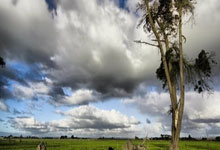 [图]英超-迪亚斯双响萨拉赫传射 曼联0-3利物浦.