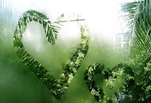 必赢体育：[天下足球]勒沃库森战胜科隆 排名德甲榜首.