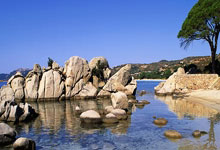 必赢体育：[中超]奥斯卡横传中路 古斯塔沃前点包抄破门.